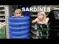 SARDINES AT LOWES!! | HIDE AND SEEK!