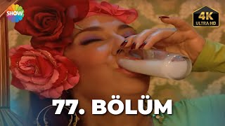 Cennet Mahallesi 77. Bölüm Ultra Hd 4K