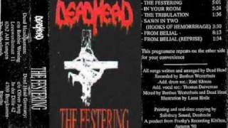 Watch Dead Head The Festering video