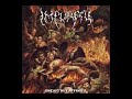 Embodiment Of Impurity Video preview
