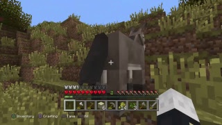 Mystic And Trevor Explore the World