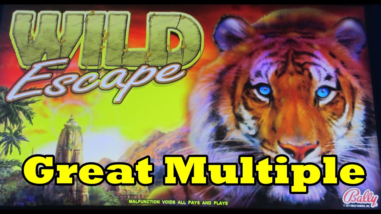 Wild escape slots