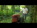 david bradley tractor