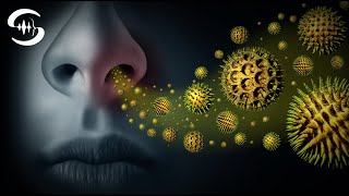 Исцеляющие Частоты От Аллергии - Музыкальная Терапия Сезонной Аллергии Райфа