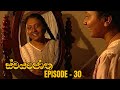 Swayanjatha Episode 30