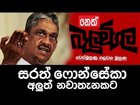 Belumgala 13|09|2017