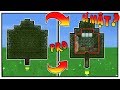 MỀU DẠY REDHOODVN CÁCH XÂY NHÀ BÍ MẬT TRÊN CÂY ( HỌC BUILD CÙNG MỀU )