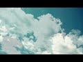 11. Spinache - Cykl