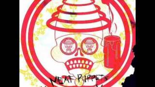 Watch Meat Puppets Light The Fire video