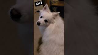 He Tries To Deny It