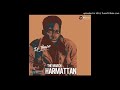 In The Morning Video preview