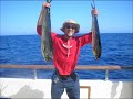 North Cal Sportfishing