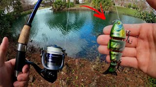 Pond Bass Fishing In Boca Raton Florida