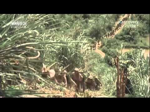 Chien tranh Viet Nam - Vietnam War - Nhung hinh anh chua tung biet den