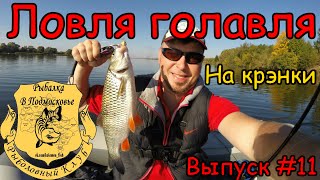 Видео о рыбалке №1674