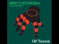 NY Doll - Robyn Hitchcock & The Venus 3