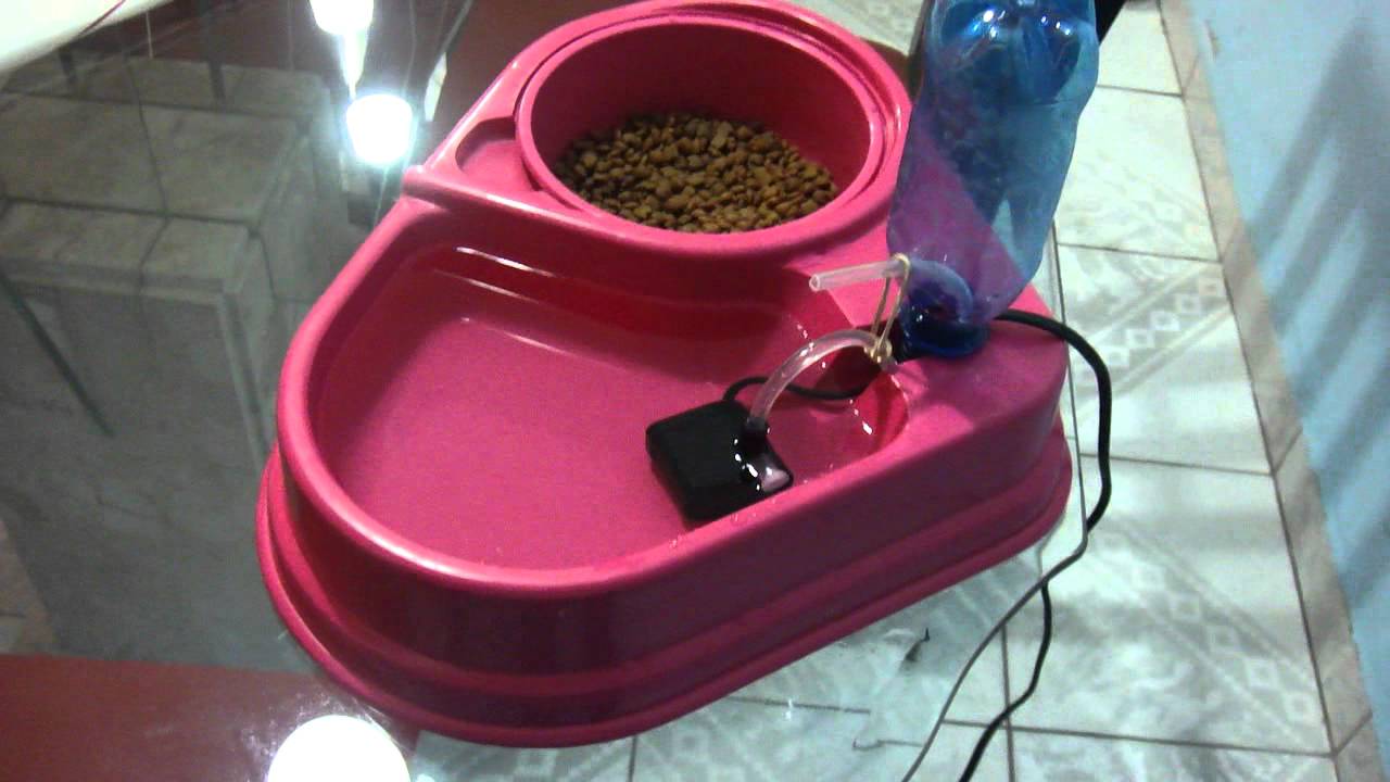 Que fazer se a codificação não ajuda o alcoólico