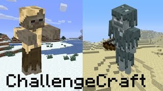 ChallengeCraft | Melting & Freezing Clip