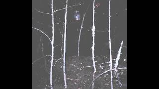 Watch Dodheimsgard Utopia Running Scarlet video