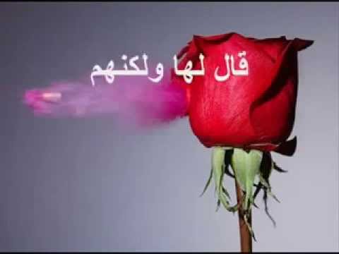 9abani の動画検索結果