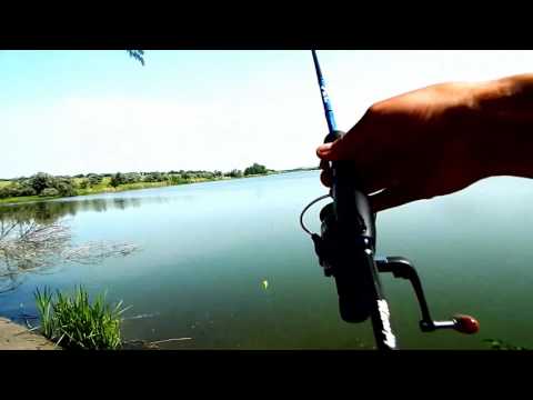 ловля стебля на удочку видео ловля стебля на удочку видео