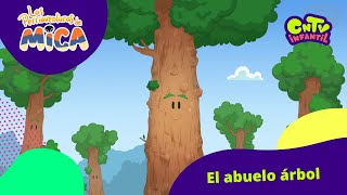 El abuelo árbol - Las perriaventuras de Mica