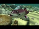 School of Fish