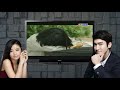 Gia Đình Ngũ Quả Tập 200 THVL