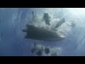 scuba diving