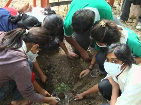Mit Gurukul