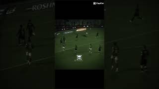 hdi0McQ_L4k Video Image