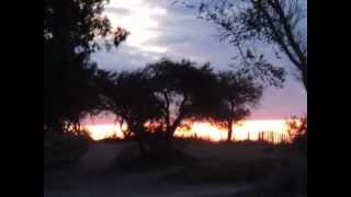 Watch Alberto Cortez La Pampa Es Un Viejo Mar video