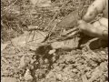 Forgotten Gunfighters The Pleasant Valley War
