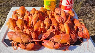 Yabby Catch And Cook, The Best Way To Cook Yabbies