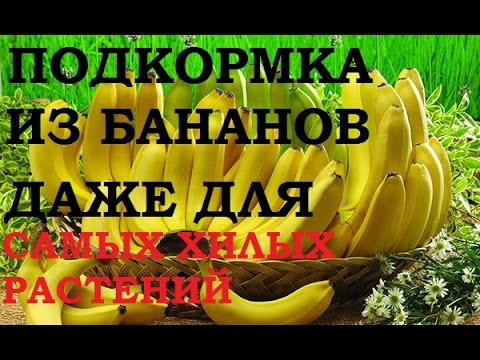 Правильная посадка рыболовной сети Правильная посадка рыболовной сети