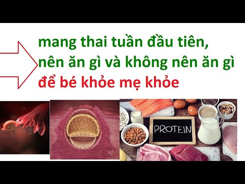 mang thai 1 tuần đầu nên ăn gì và không nên ăn gì _ mới có thai nên ăn gì
