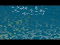The News From Nowhere Video preview