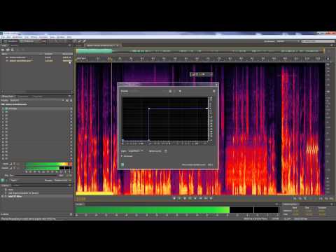 Adobe Audition Echo Removal Tutorial