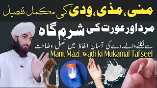 Mani Mazi Or Wadi Ki Mukamal Tafseel Mard O Aurat Ki Mani Mazi Or Wadi Men Kia Farq Hai