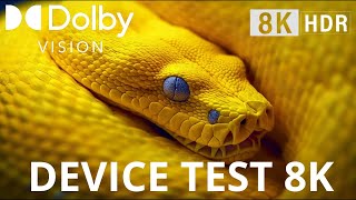 High Range Device Test, 8K Ultra Hd (240 Fps) Dolby Vision! (Testing Tv/ Mobile Supported Devices)