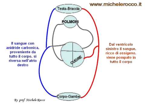 Centro scientifico di chirurgia caldamente vascolare a loro bakuleva