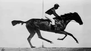 Скачущая Лошадь 1878 Год Эдвард Мейбридж  Hd Upscale В 60 Фпс
