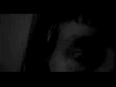 Sad Truth Video
