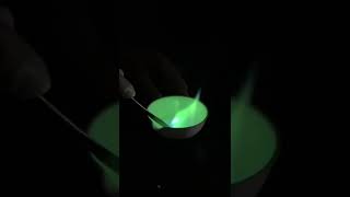 Whatsapp Video 2024 11 13 At 15 37 09