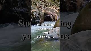 Dont Shrink Your Dreams To Fit Your Fear