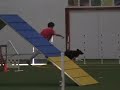 Savvy's first Open Standard Q