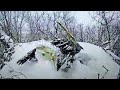 Snow Covered Bald Eagle Shakes Snow off of Wings. Amazing!