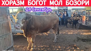 Хоразм Богот Мол Бозори 24 Сентября 2025-Йил