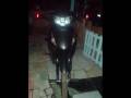biz 125 tuning