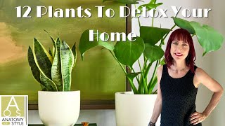 12 Plants To Detox Your Home